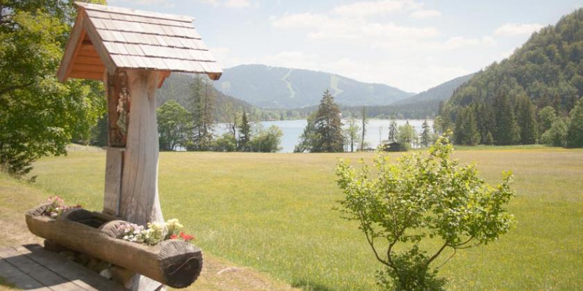 Foto mit geringem Kontrast (Bild: Müller/VKI)