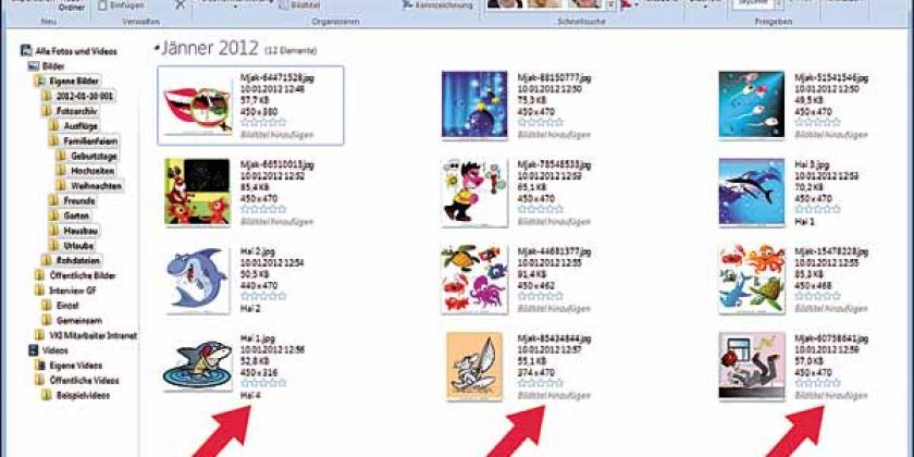 B BG Fotoverwaltung 2 automatische Bildvorschau 600px  Fotoverwaltung mit Windows Fotogalerie: automatische Bildvorschau (Bild: Würth)