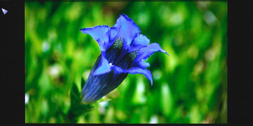 Fotos und Videos können mittels weiterklicken oder einer Dia-Show angesehen werden (Bild: VKI/E. Würth)