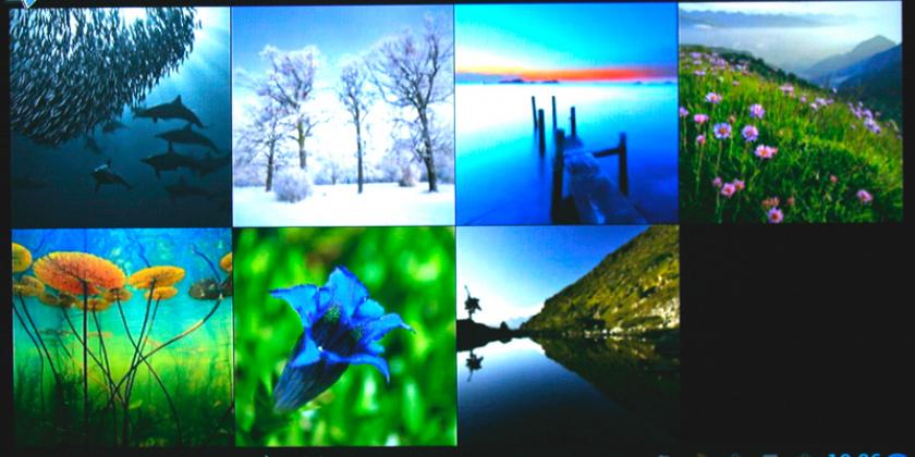 Die Fotogalerie bietet eine Übersicht über die vorhandenen Bilder (Bild: VKI/E. Würth)