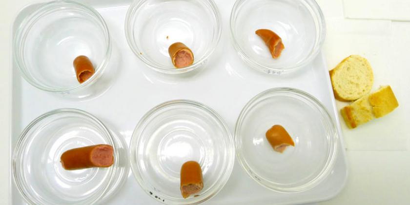 B Frankfurter Verkostung - 4 - 6 Frankfurter aufgegessen  Laienverkostung im Frankfurter-Test: die Reste der ersten sechs Proben (Bild: Tacha/VKi)