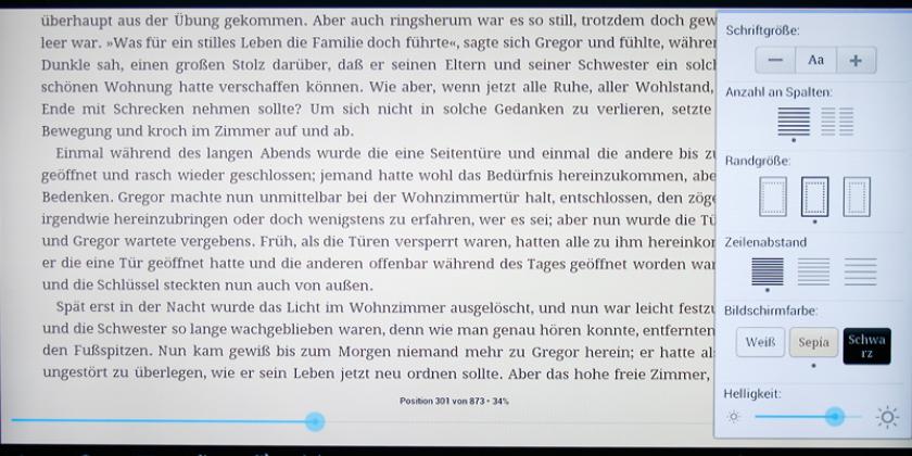 Übersichtlich wird der Text bei der Kindle-App dargestellt, will man weiterlesen klickt oder scrollt man. Außerdem lässt sich die Schriftgröße, die Spaltenbreite, die Helligkeit, etc. einstellen. (Bild: VKI/E. Würth)