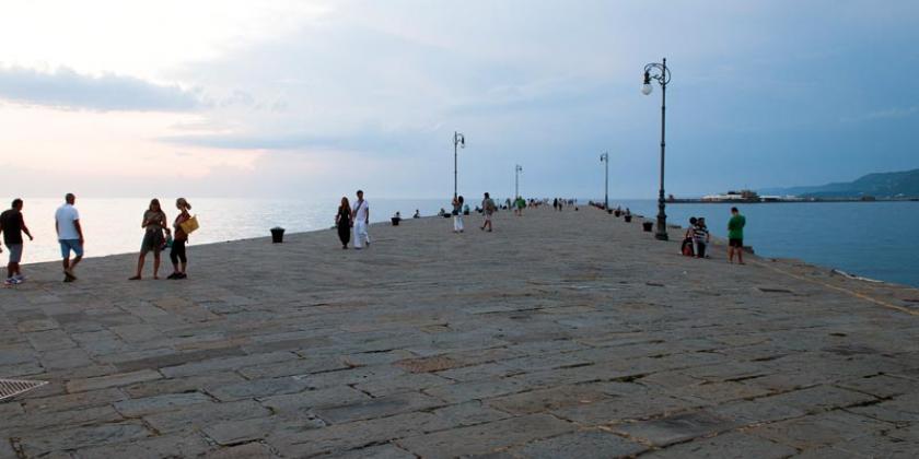 Bild: Wenzel Müller