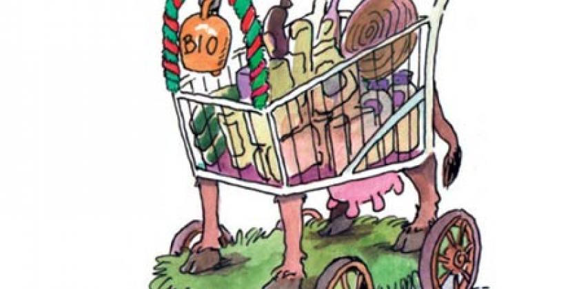 B Preisvergleich Supermärkte Warenkorb Bio-Produkte 447px KONSUMENT-Preisvergleich Supermärkte: Hier der Warenkorb Bio-Produkte (Illustration: Klaus Pitter/VKI)