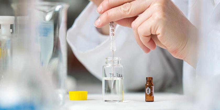 Der Schwerpunkt unserer Arbeit