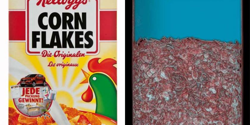 B Verpackungsärger Mogelpackungen 2013-01 7KellogsCornflakes800p Kellog´s über seine Cornflakes: Es sei normal, dass sich der Füllstand im Beutel mit der Zeit verändere (E. Würth/VKI)