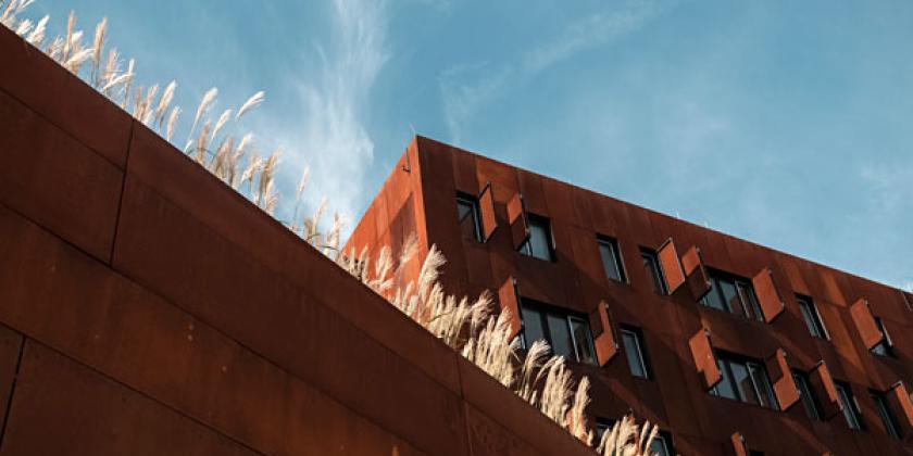 Wirtschaftsuniversität Wien (Bild: Lea Sonderegger)