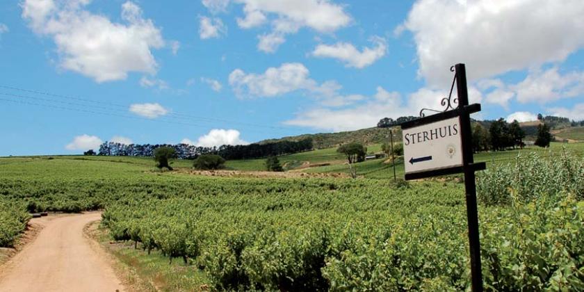 Bild Wein aus Südafrika 1 5/2009 Wein aus Südafrika - die Idylle trügt: Auf dem Sterhuis-Weingut werden Arbeiter, die sich weigern, im Sprühnebel der Pestizide zu arbeiten, gefeuert. (Bild: Taenk)