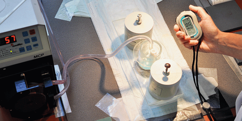 B Windeln 3, 800px Urinaufnahme der Windeln