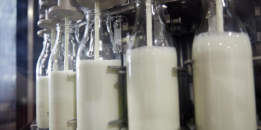 Berglandmilch füllt derzeit acht Prozent ihrer Milch in Glasflaschen ab. (Bild: Mitja Kobal/Greenpeace)