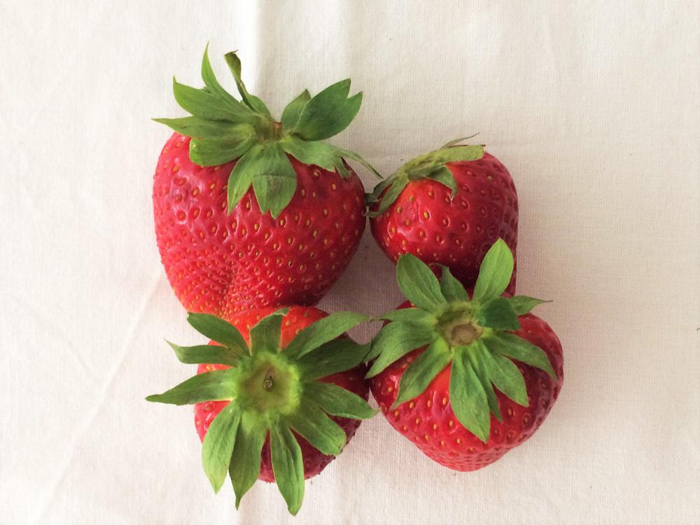 Erdbeeren mit Blättern