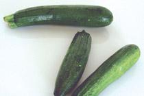 Zucchini 1