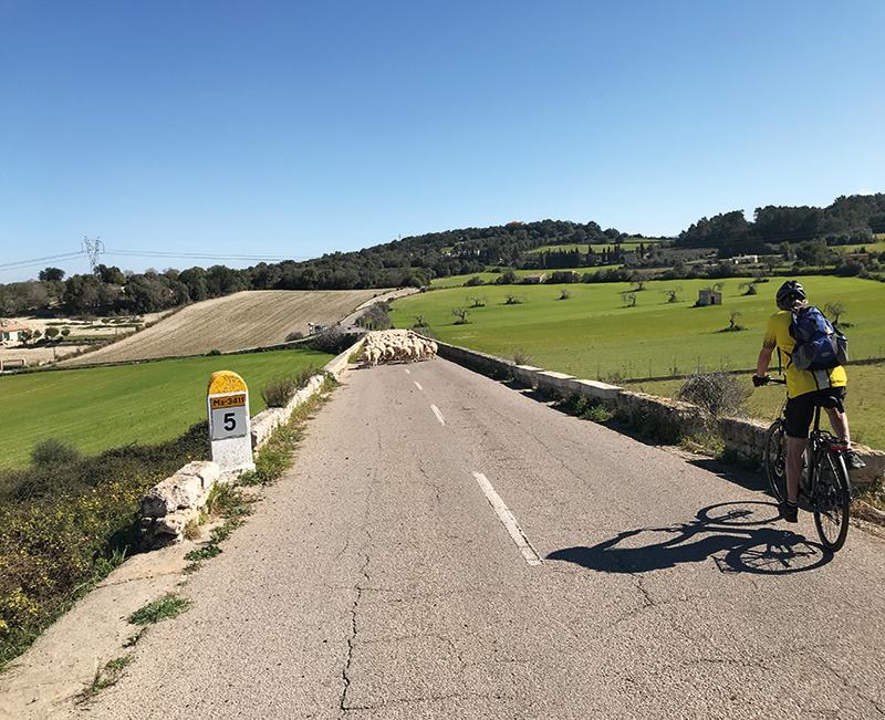 Auch auf unerwartete Hindernisse traf das Test-Team bei seiner &amp;quot;Tour de Mallorca&amp;quot;. (Bild: VKI)