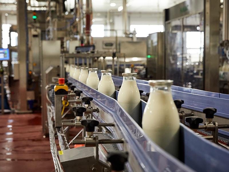 Bei Berglandmilch will man den Anteil der in Glasflaschen abgefüllten Milch künftig zumindest verdoppeln. (Bild: Mitja Kobal)