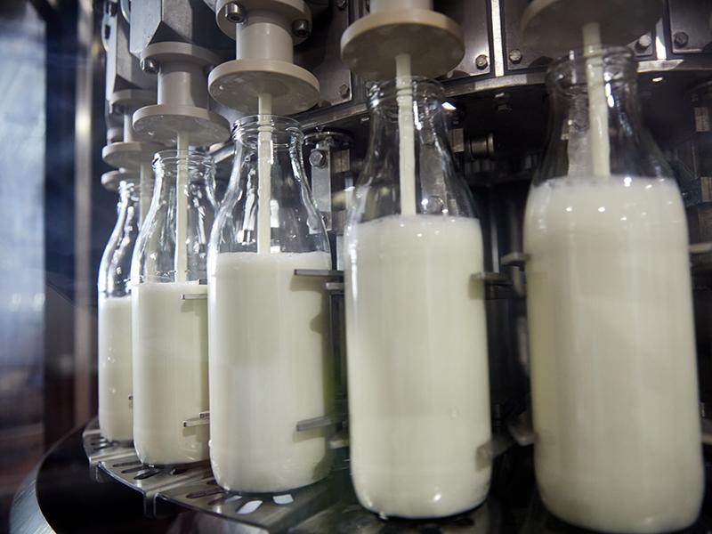 Berglandmilch füllt derzeit acht Prozent ihrer Milch in Glasflaschen ab. (Bild: Mitja Kobal/Greenpeace)
