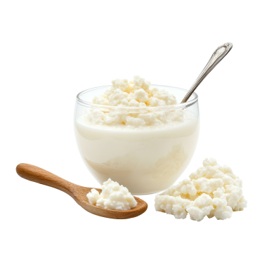 Wie viele Milchprodukte pro Tag?