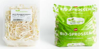 2 verschiedene Packungen Mungobohnensprossen. Links eine transparente Tasse mit ebensolchem Deckel, rechts ein grüner Plastikbeutel