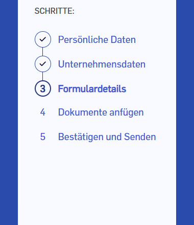 Screenshot der EVZ Eingabemaske mit angewählten Checkboxen bis Schritt 3 "Formulardetails"
