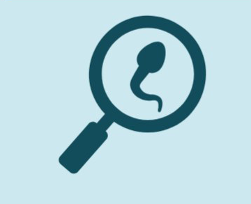 Icon zeigt Spermium unter der Lupe