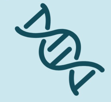 Icon zeigt Doppelhelix mit Erbinformation