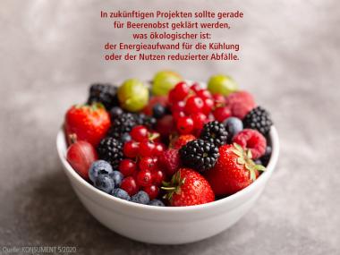 In zukünftigen Projekten sollte gerade für Beerenobst geklärt werden, was ökologischer ist: der Energieaufwand für die Kühlung oder der Nutzen reduzierter Abfälle. (Bild: VKI)