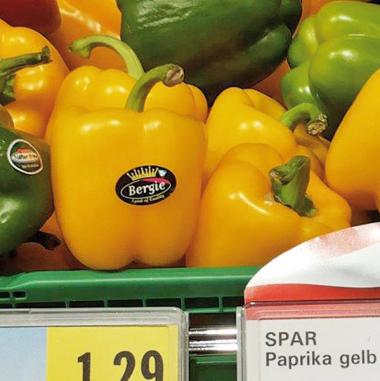 Spar Paprika: Auf dem Paprikagemüse ist ein Aufkleber der spanischen Marke „Bergie Spirit of quality“ angebracht. Woher kommt der Paprika denn jetzt? Aus Österreich oder aus Spanien? (Bild: KONSUMENT-Leser)