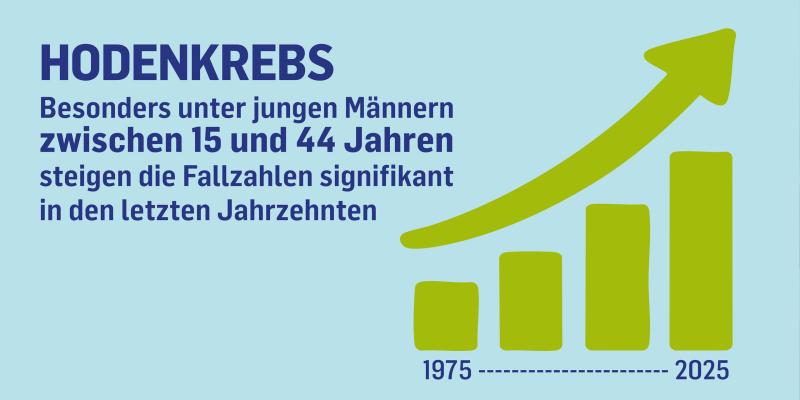 Infografik zeigt, dass die Zahl der Hodenkrebs-Erkrankungen steigt